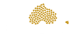 I Am Thai Corparation Co., Ltd
